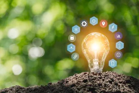 Light bulbs with glowing one. technology and creativity concept with light bu Stock Photos
