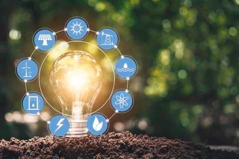 Light bulbs with glowing one. technology and creativity concept with light bu Stock Photos
