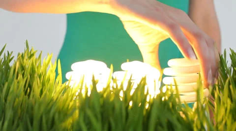 Light bulbs in grass patch Stock Footage 32716271