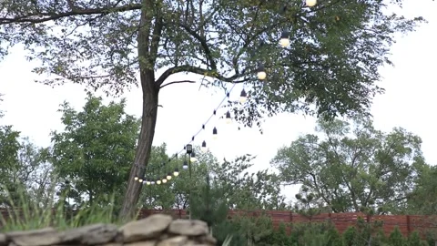Light Bulbs Hanging on Trees in a Park in the Evening Stock Footage 241323120