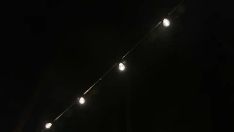 Light bulbs in the wedding decor 動画素材 69240512