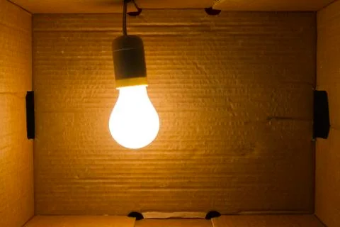 Light-bulg hanging in box Stock Photos