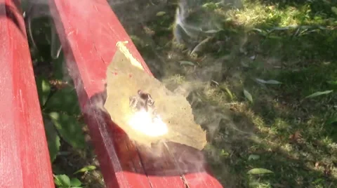 Light burning leaf Video stock 51566880