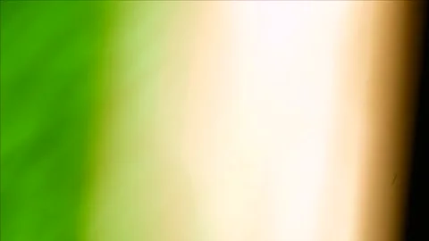 Light Burns  Vídeo Stock 267704484