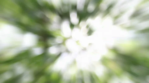 Light Burst Ray Effect Moving Blurred Bokeh Green Sparkly Background Time Lapse Video stock 29009643