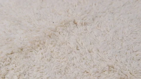 The light carpet rotates. Stock Footage 201674675