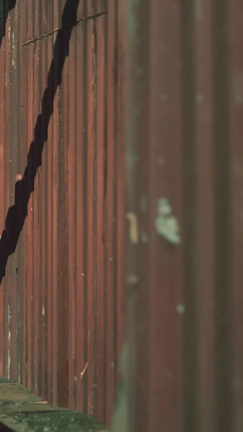 Light casts shadow on red wall in urban area during late afternoon Stock Footage 335354751