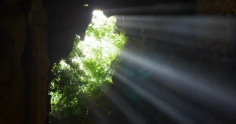 A light in the cave 01 Stock Footage 113471668