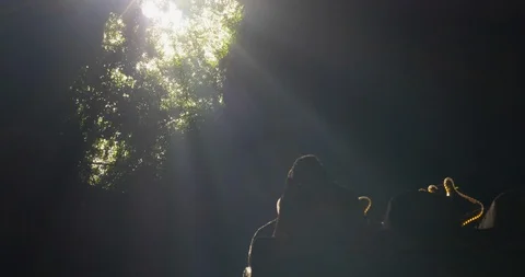 A light in the cave 02 Stock Footage 113471595