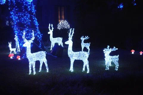 Light christmas scene Stockfoto's