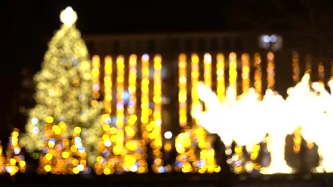 Light On A Christmas Tree Stock-Footage 317173346