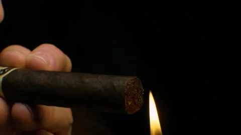 Light up a Cigar Stock Footage 220008952