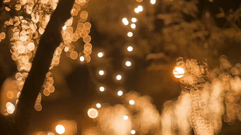 Light With Circle Bokeh On The Tree Stock Footage 43206144