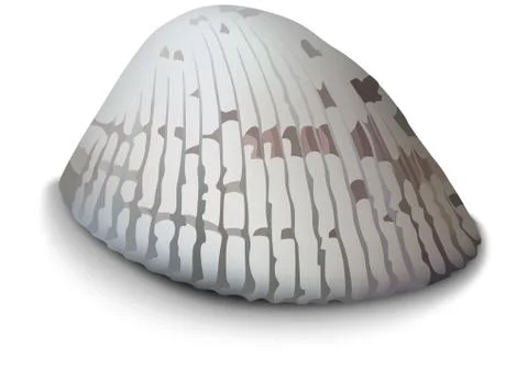 Light Clam on a White Background Stock Illustration