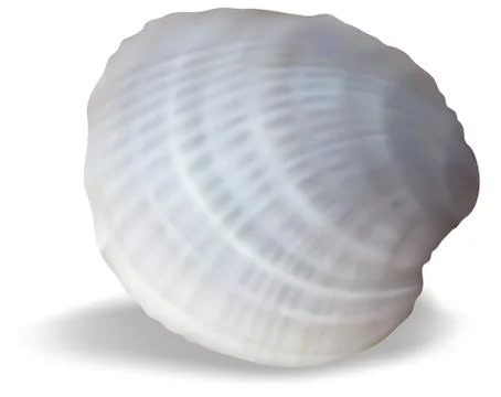 Light Clam on a White Background Stock Illustration