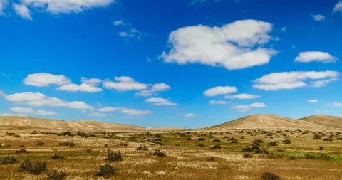 Light clouds flying over desert with spring flowers Stock-Footage 93237745