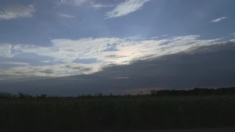 Light clouds at sunset quickly run over a field with yellow sunflower flowers Stock Footage 155756187