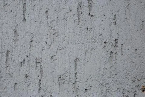 Light cold grey white plaster wall texture background. Stock Photos