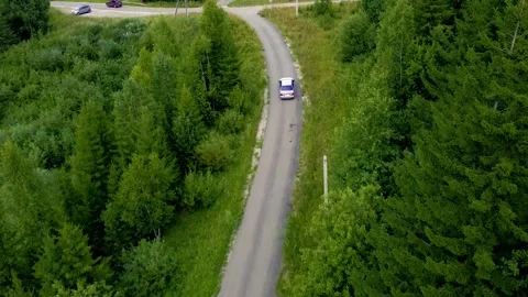 A light-colored car drives along a road among green trees in summer Video stock 170292040