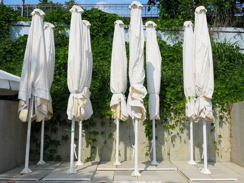 Light-colored folded beach umbrellas stand outdoors against an ivy-covered wall Stock Photos