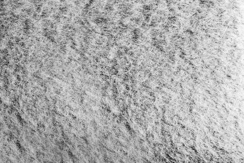 Light colored fur texture backdrop photo. Foto stock