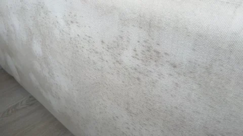 Light-colored sofa with visible mold growth near a window in a humid environment 스톡 동영상 326681794
