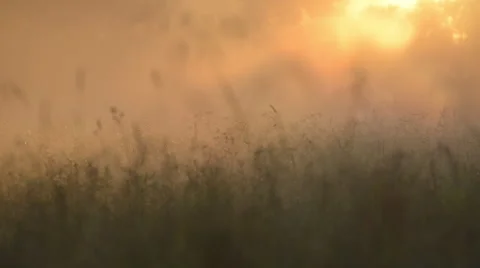 Light is coming Stock Footage 60658200