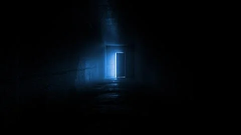 Light coming in through open door at end of dark corridor Illustrazione stock