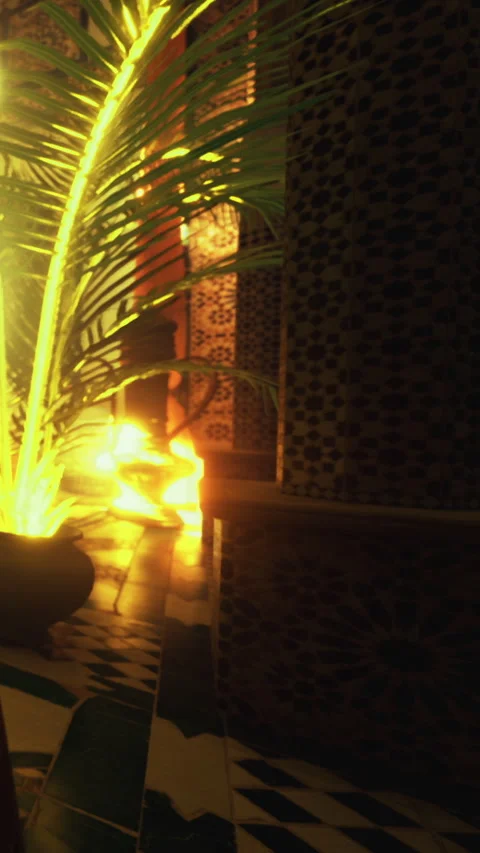 Light coming through a space with plants and tiles in a building Stock Footage 332218372