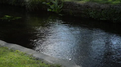 Light on creek Stock Footage 41319711