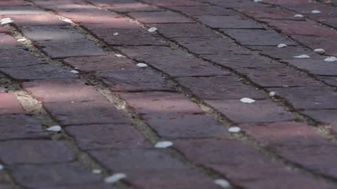 LIGHT DANCES ON BRICK PATH Video stock 195993820