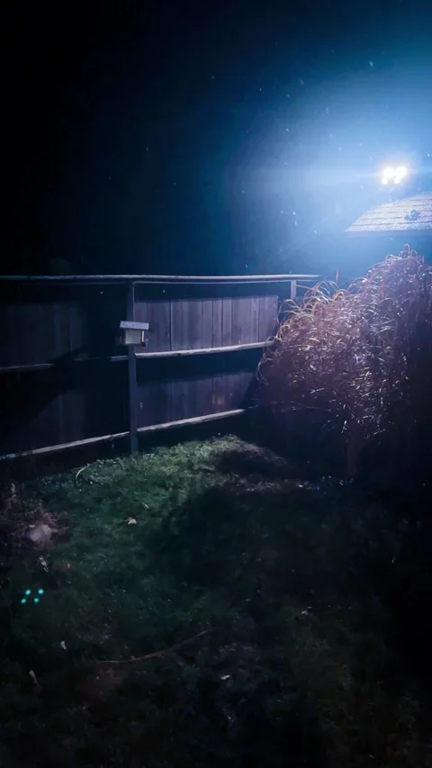 Light in the dark Stock Footage 279522894