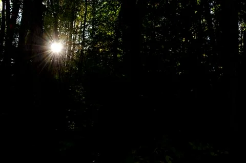 Light in the Dark Stock Photos