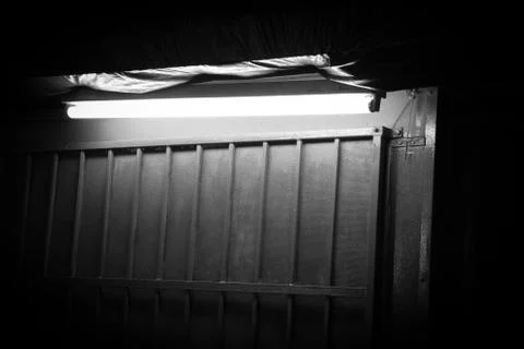 Light in the dark Foto stock