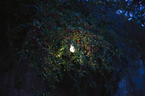 Light in the dark Stock Photos