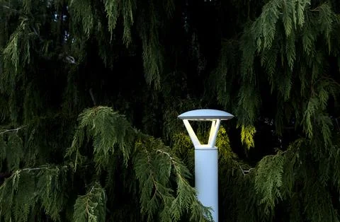 Light into Dark Stock Photos