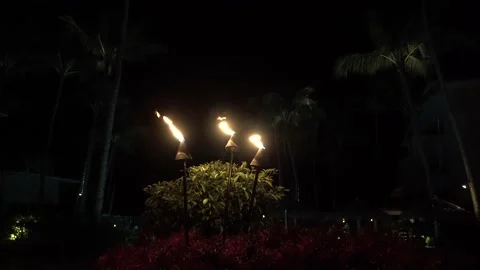 Light in the darkness, Vídeos de archivo 167535437