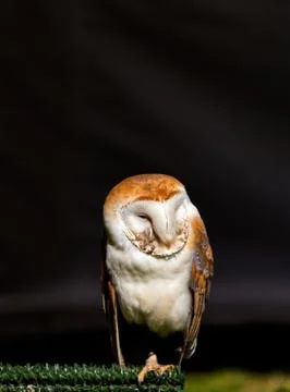 Light in the darkness Stock Photos