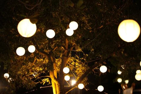 Light Decoration on Tree Foto stock