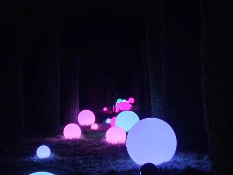 Light decorations in a San Francisco garden at night during new year holidays Stock Photos
