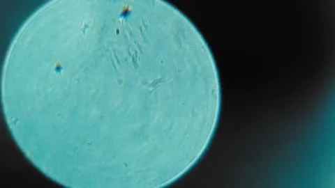 Light distortions in microscopic view Stock Footage 85452160