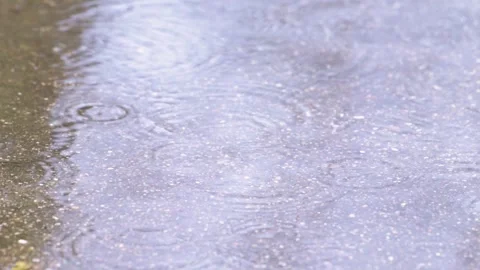 Light drizzle Stock Footage 272262029