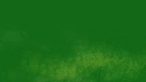 Light Dust Motion Background Green Screen Stock Footage 306035869