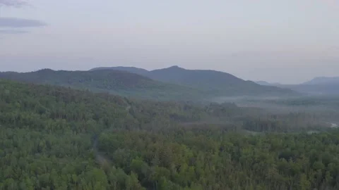Light dusting of fog covers lush green forestry stretching to mountains Stock-Footage 155811971