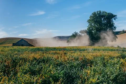 A Light Dusting Stock Photos