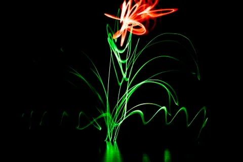 Light effect Abstract flower. Multicolored blurred light lines. Фото