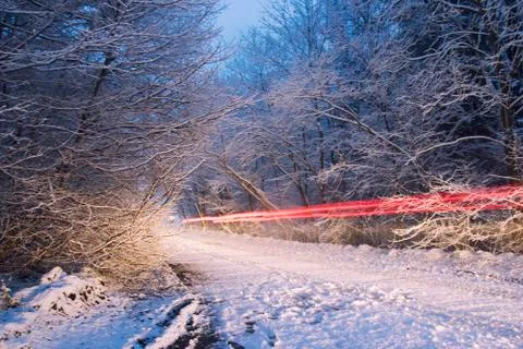 Light effect. Night forest and rear light of the car. Stock Photos