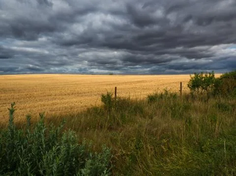 Light effect on wheat fields under a stormy sky in France Stock Photos