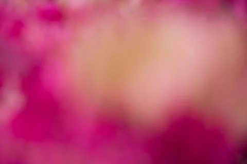 Light effects background, abstract light background, light leaks Stock Photos