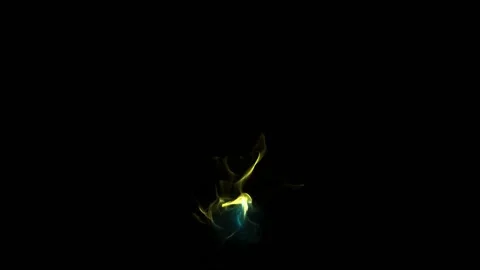 Light Effects Collection. Colorful Flashes Stock Footage 155558404